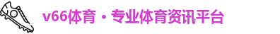 v66体育